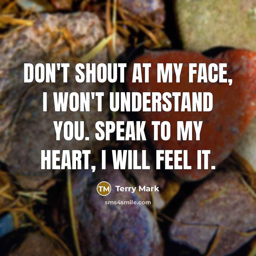 “Don't shout at my face, I won't understand you. Speak to my heart, I will feel it.” quote by Terry Mark