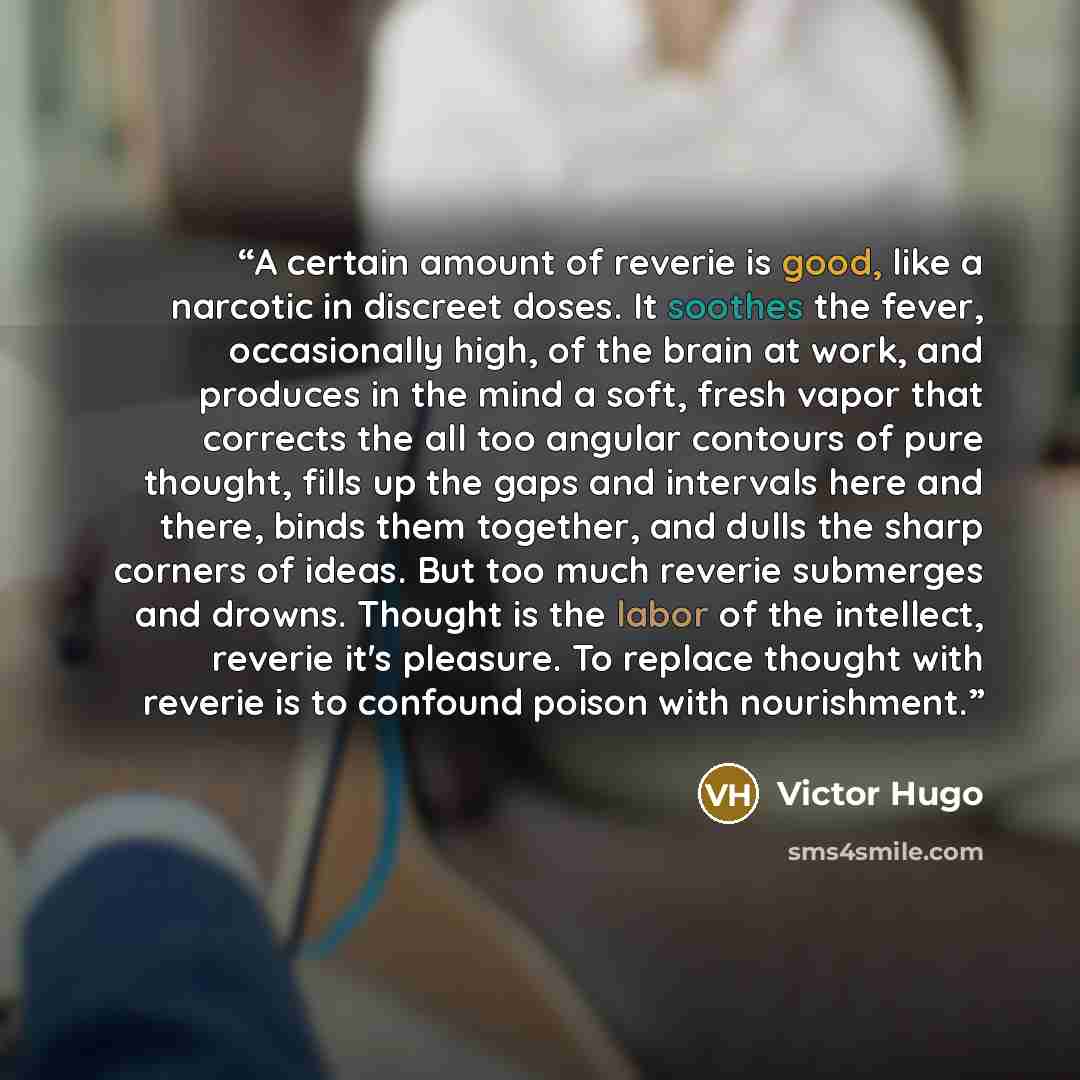 “A certain amount of reverie is good, like a narcotic in discreet doses. It soothes the fever, occasionally high, of the brain at work, and produces in the mind a soft, fresh vapor that corrects the all too angular contours of pure thought, fills up the gaps and intervals here and there, binds them…” quote by Victor Hugo