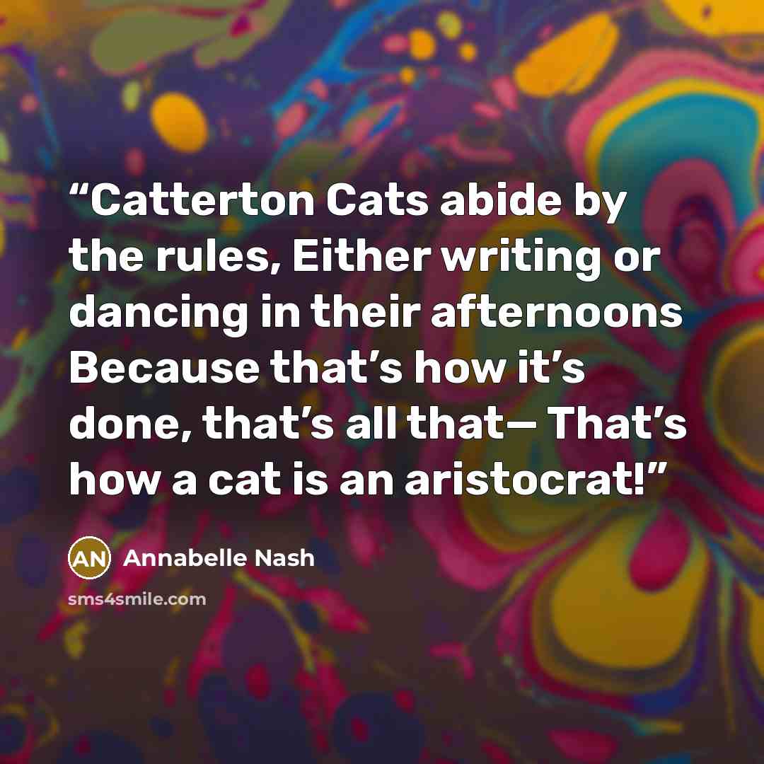 “Catterton Cats abide by the rules, Either writing or dancing in their afternoons Because that’s how it’s done, that’s all that— That’s how a cat is an aristocrat!” quote by Annabelle Nash