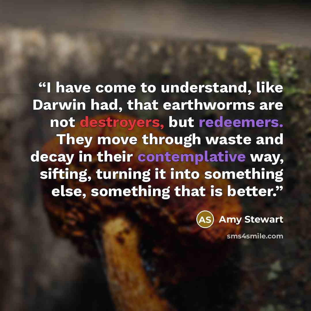 “I have come to understand, like Darwin had, that earthworms are not destroyers, but redeemers. They move through waste and decay in their contemplative way, sifting, turning it into something else, something that is better.” quote by Amy Stewart
