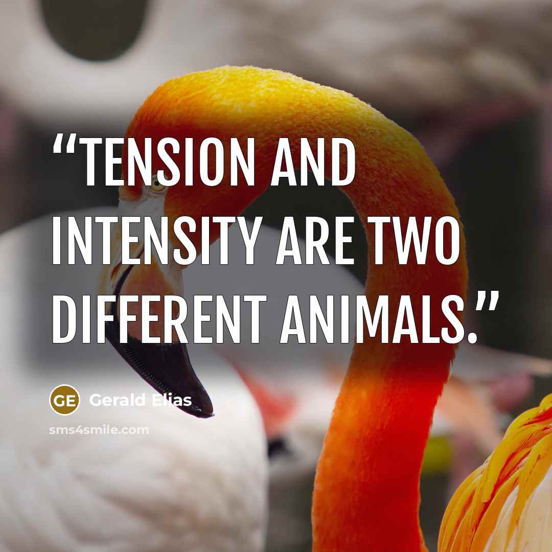 “tension and intensity are two different animals.” quote by Gerald Elias