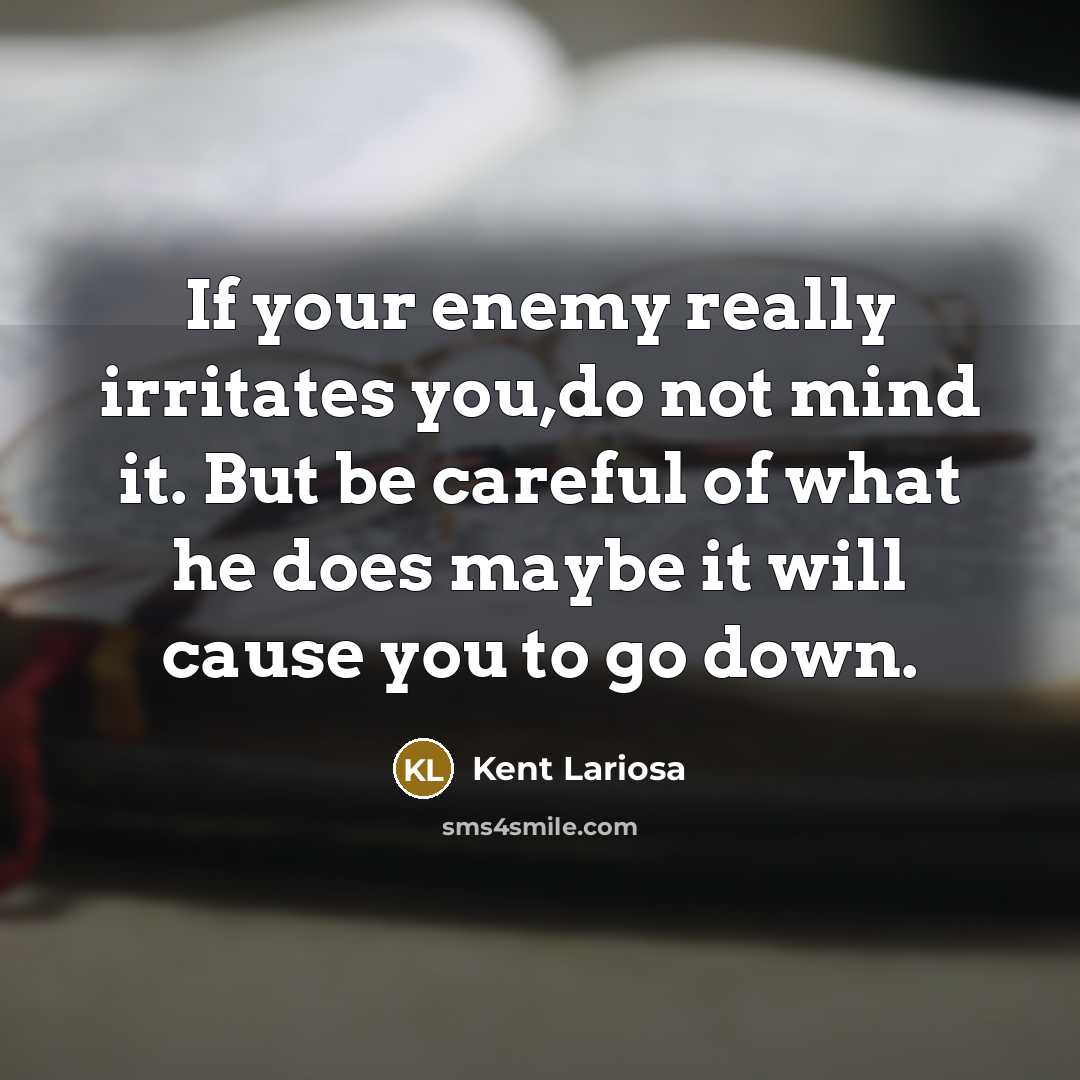 “If your enemy really irritates you,do not mind it. But be careful of what he does maybe it will cause you to go down.” quote by Kent Lariosa