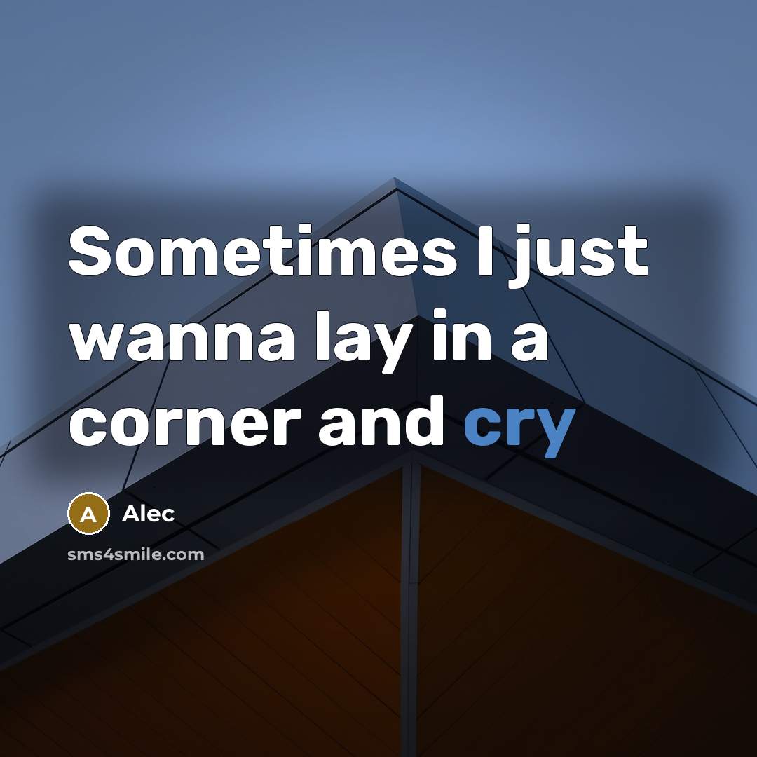 “Sometimes I just wanna lay in a corner and cry” quote by Alec