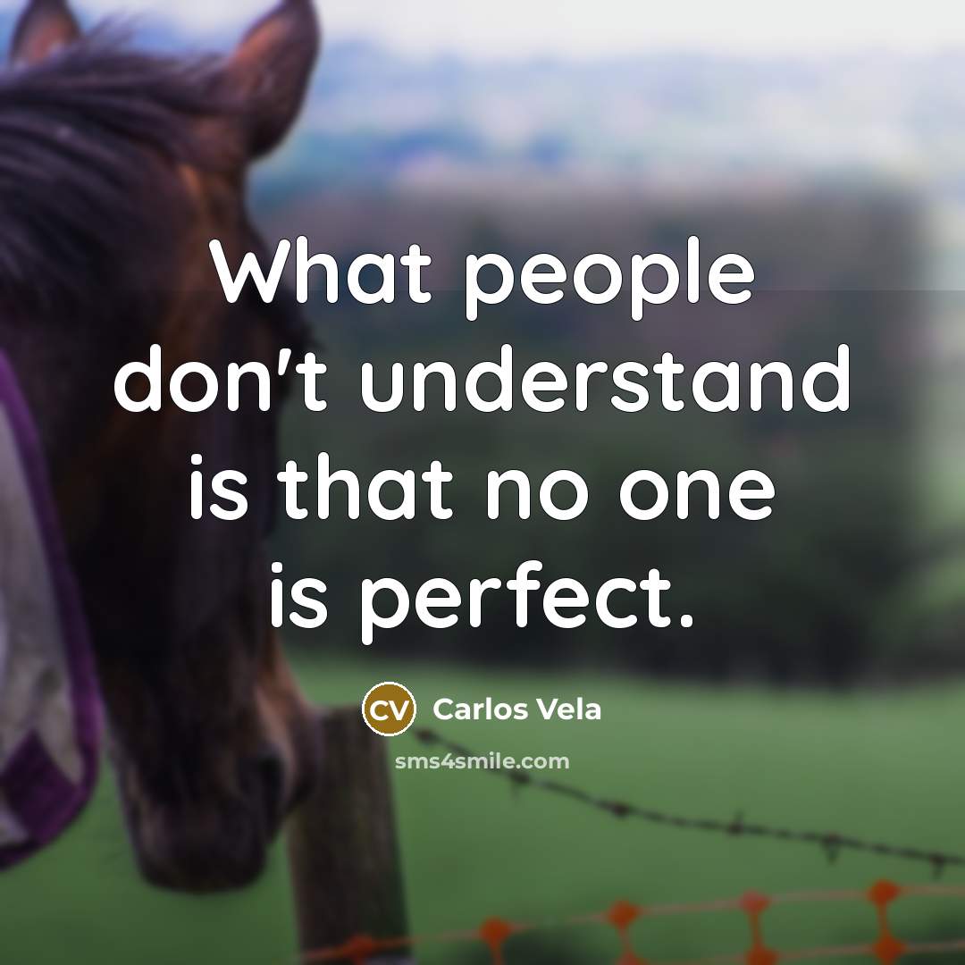 “What people don't understand is that no one is perfect.” quote by Carlos Vela
