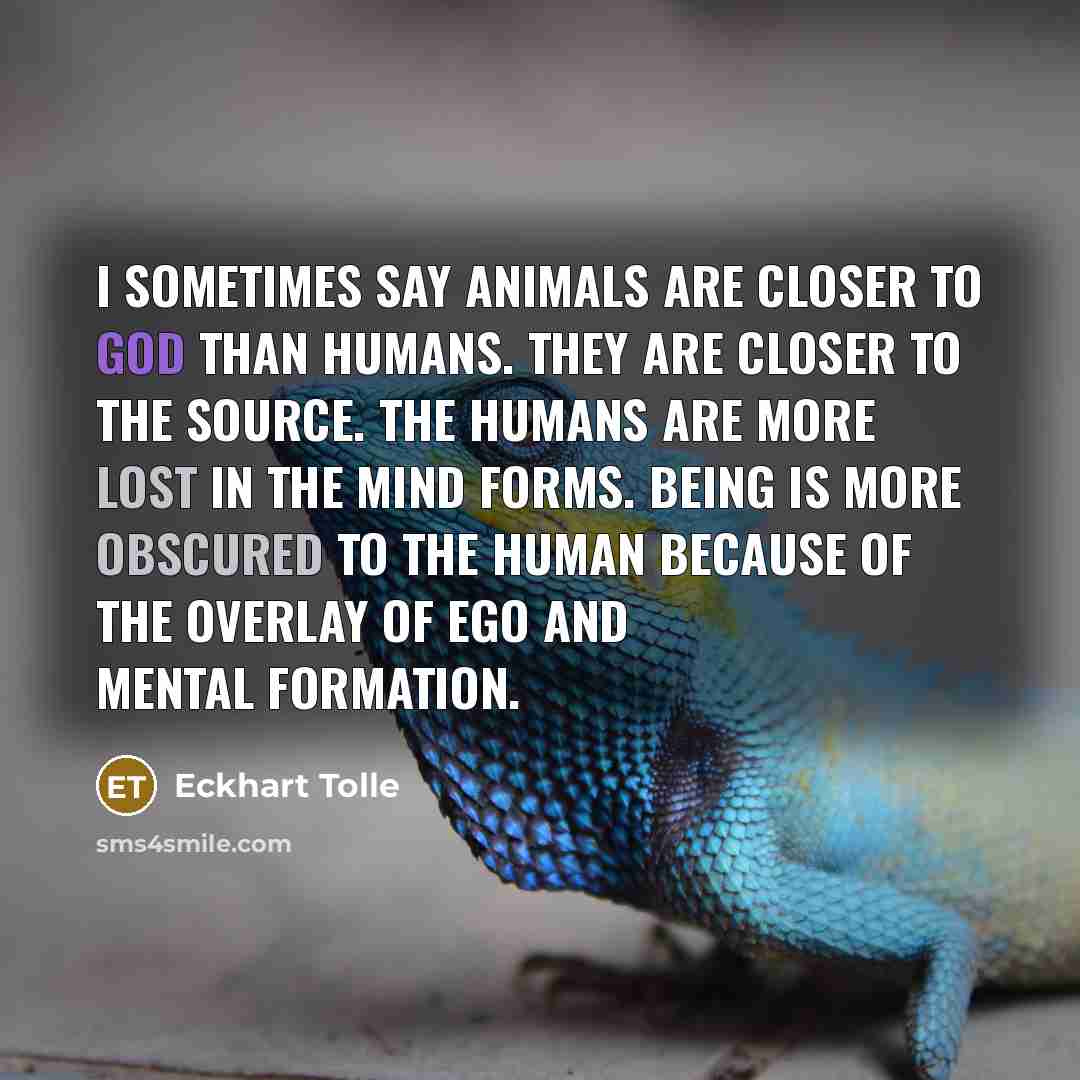 “I sometimes say animals are closer to God than humans. They are closer to the source. The humans are more lost in the mind forms. Being is more obscured to the human because of the overlay of ego and mental formation.” quote by Eckhart Tolle