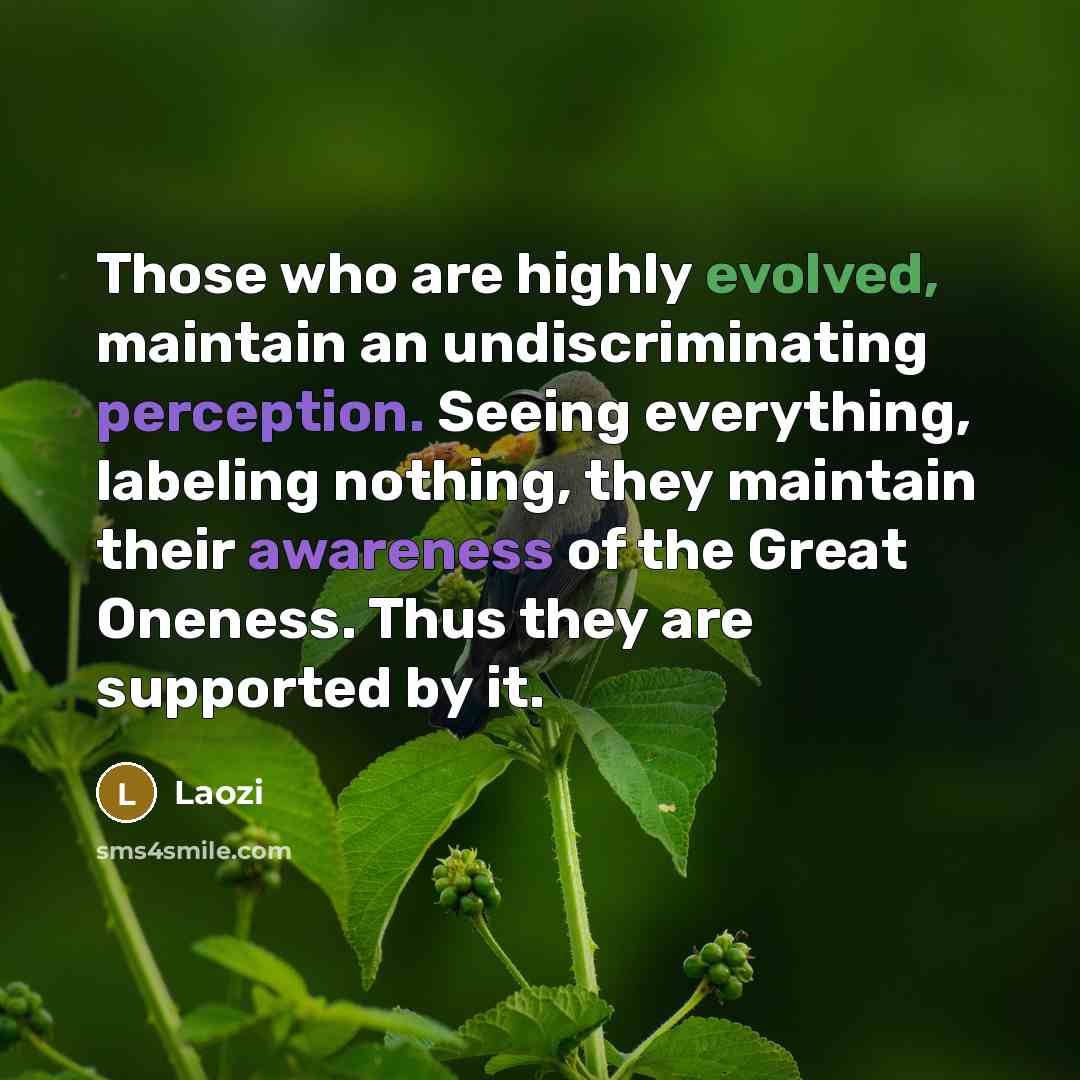 “Those who are highly evolved, maintain an undiscriminating perception. Seeing everything, labeling nothing, they maintain their awareness of the Great Oneness. Thus they are supported by it.” quote by Laozi