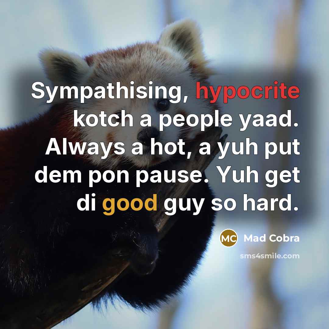 “Sympathising, hypocrite kotch a people yaad. Always a hot, a yuh put dem pon pause. Yuh get di good guy so hard.” quote by Mad Cobra