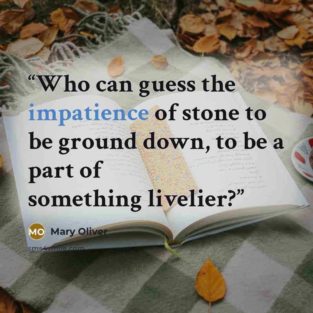 “Who can guess the impatience of stone to be ground down, to be a part of something livelier?” quote by Mary Oliver