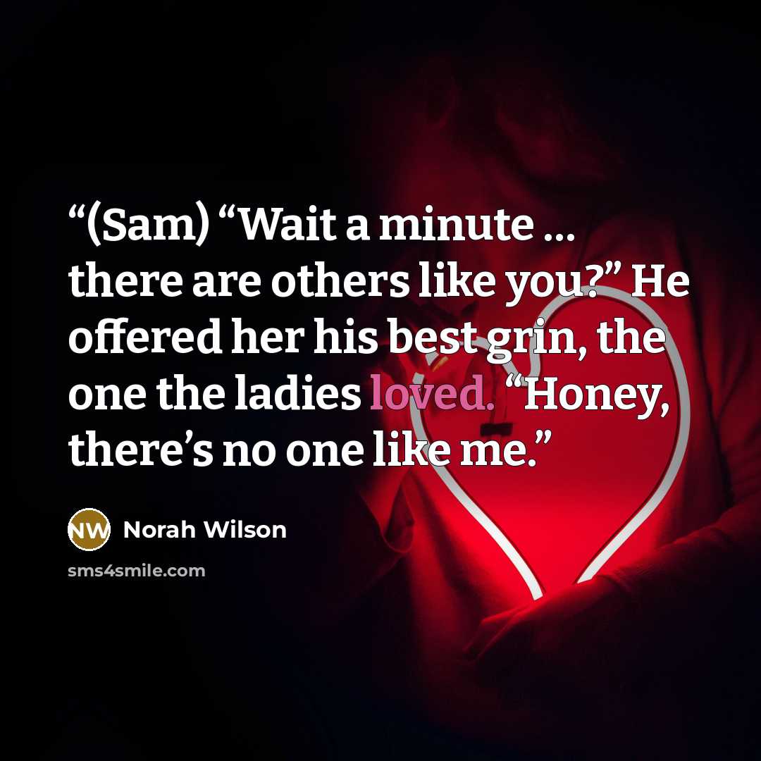 “(Sam) “Wait a minute … there are others like you?” He offered her his best grin, the one the ladies loved. “Honey, there’s no one like me.” quote by Norah Wilson