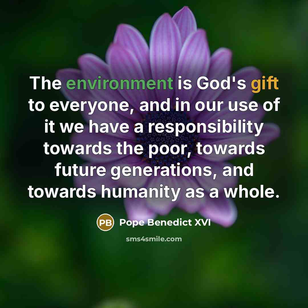 “The environment is God's gift to everyone, and in our use of it we have a responsibility towards the poor, towards future generations, and towards humanity as a whole.” quote by Pope Benedict XVI