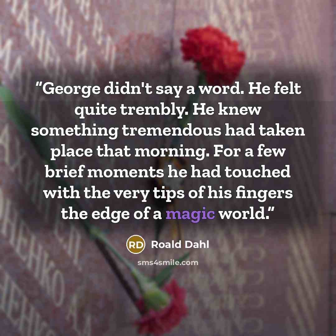 “George didn't say a word. He felt quite trembly. He knew something tremendous had taken place that morning. For a few brief moments he had touched with the very tips of his fingers the edge of a magic world.” quote by Roald Dahl