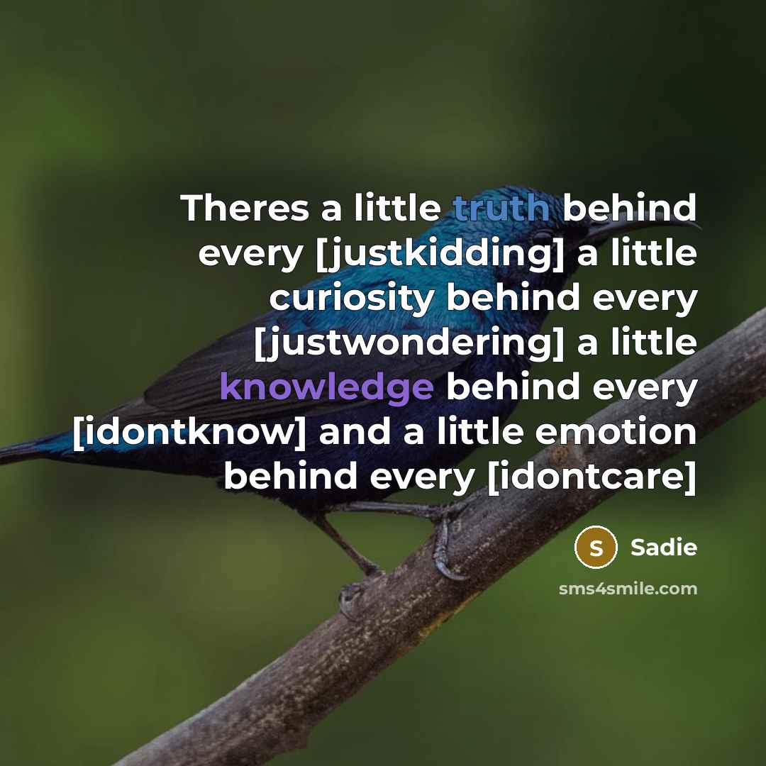 “Theres a little truth behind every [justkidding] a little curiosity behind every [justwondering] a little knowledge behind every [idontknow] and a little emotion behind every [idontcare]” quote by Sadie