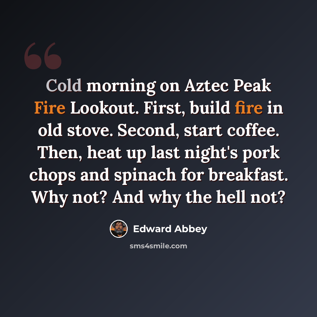 “Cold morning on Aztec Peak Fire Lookout. First, build fire in old stove. Second, start coffee. Then, heat up last night's pork chops and spinach for breakfast. Why not? And why the hell not?” quote by Edward Abbey