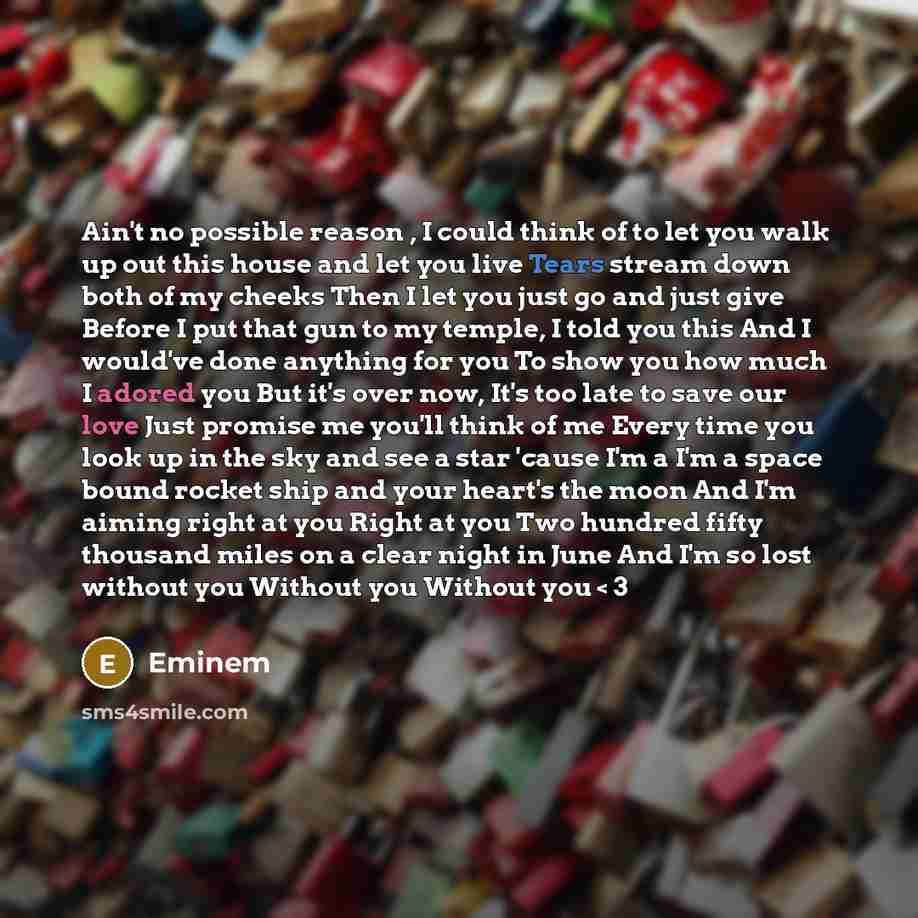 “Ain't no possible reason , I could think of to let you walk up out this house and let you live Tears stream down both of my cheeks Then I let you just go and just give Before I put that gun to my temple, I told you this And I would've done anything for you To show you how much I adored you But…” quote by Eminem