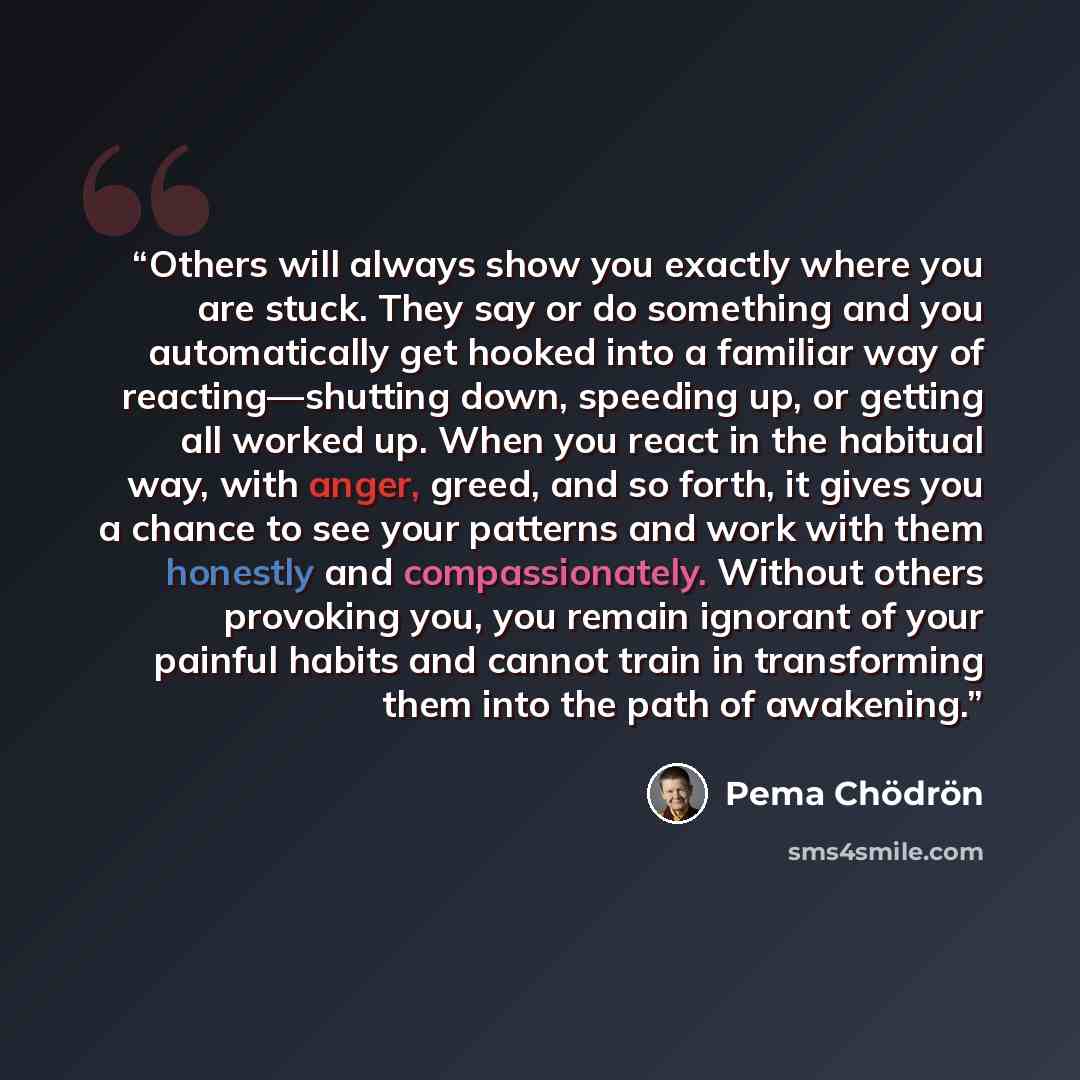 “Others will always show you exactly where you are stuck. They say or do something and you automatically get hooked into a familiar way of reacting—shutting down, speeding up, or getting all worked up. When you react in the habitual way, with anger, greed, and so forth, it gives you a chance to see…” quote by Pema Chödrön