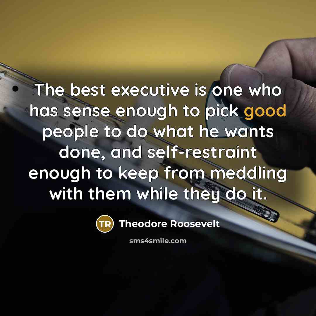 “The best executive is one who has sense enough to pick good people to do what he wants done, and self-restraint enough to keep from meddling with them while they do it.” quote by Theodore Roosevelt
