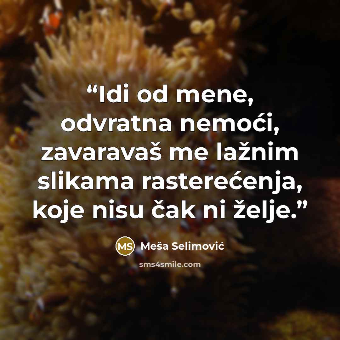 “Idi od mene, odvratna nemoći, zavaravaš me lažnim slikama rasterećenja, koje nisu čak ni želje.” quote by Meša Selimović