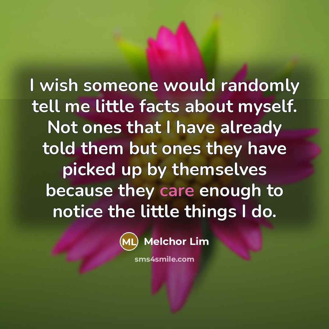 “I wish someone would randomly tell me little facts about myself. Not ones that I have already told them but ones they have picked up by themselves because they care enough to notice the little things I do.” quote by Melchor Lim
