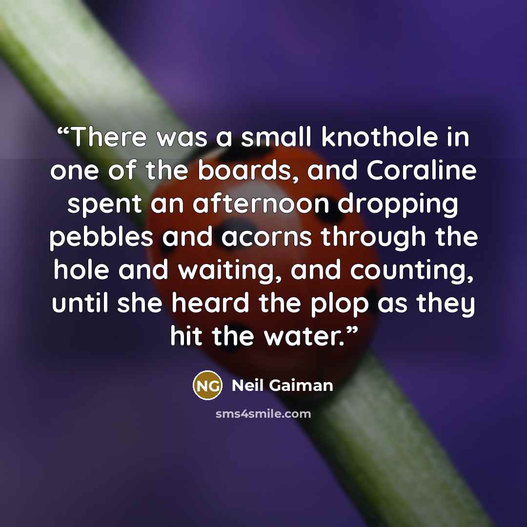“There was a small knothole in one of the boards, and Coraline spent an afternoon dropping pebbles and acorns through the hole and waiting, and counting, until she heard the plop as they hit the water.” quote by Neil Gaiman