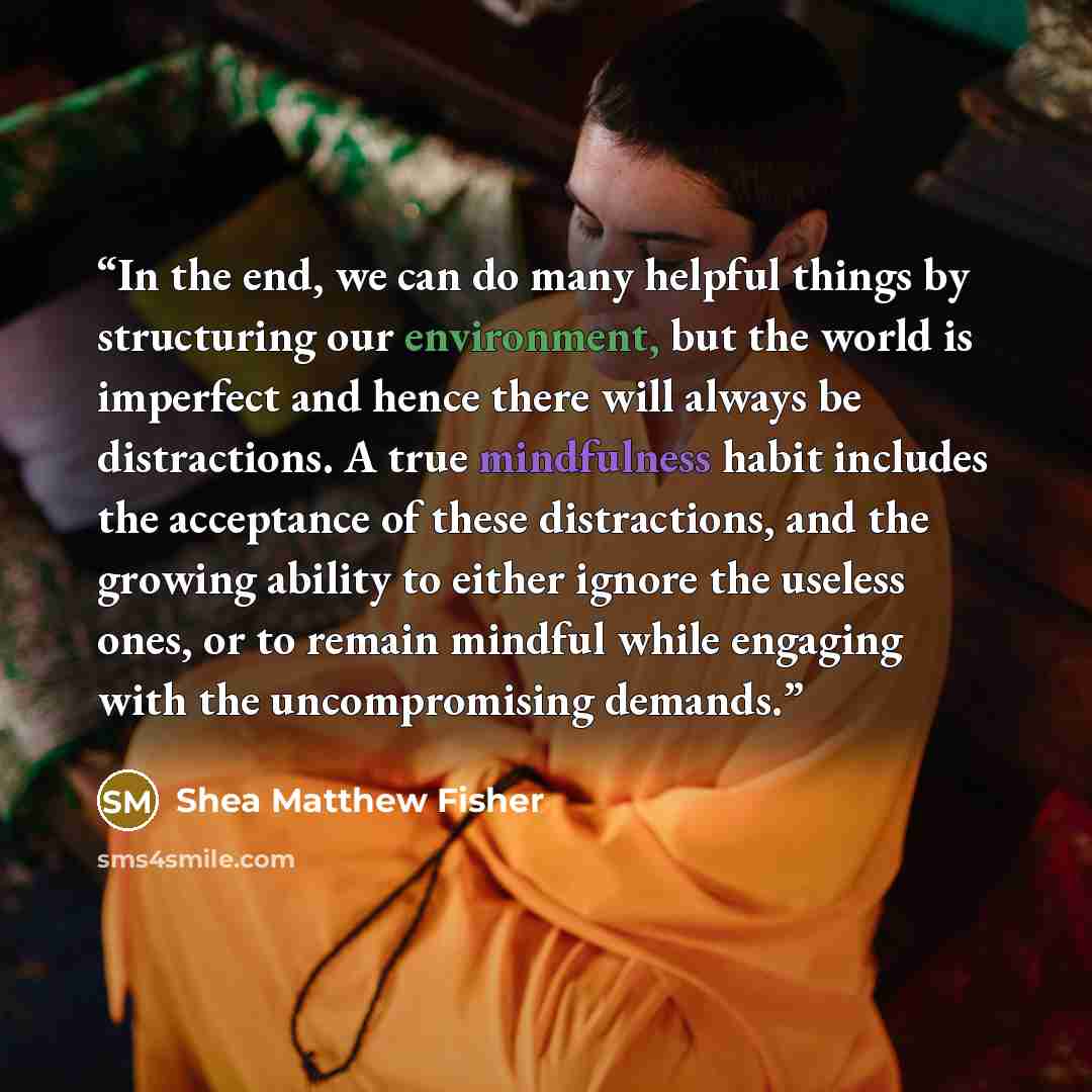 “In the end, we can do many helpful things by structuring our environment, but the world is imperfect and hence there will always be distractions. A true mindfulness habit includes the acceptance of these distractions, and the growing ability to either ignore the useless ones, or to remain mindful…” quote by Shea Matthew Fisher
