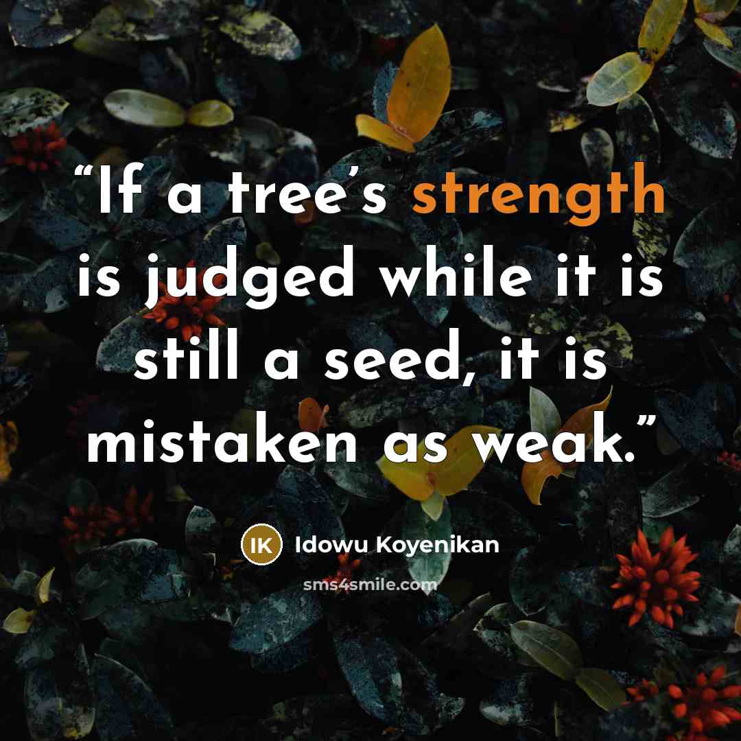 “If a tree’s strength is judged while it is still a seed, it is mistaken as weak.” quote by Idowu Koyenikan
