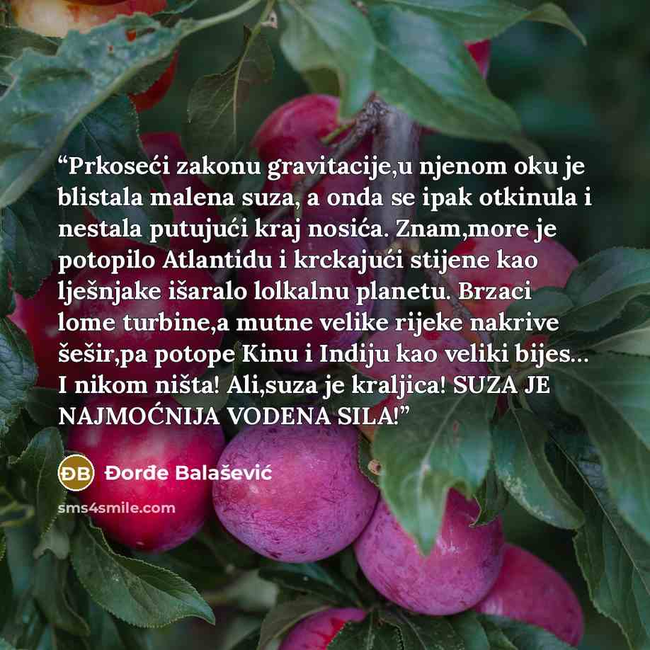 “Prkoseći zakonu gravitacije,u njenom oku je blistala malena suza, a onda se ipak otkinula i nestala putujući kraj nosića. Znam,more je potopilo Atlantidu i krckajući stijene kao lješnjake išaralo lolkalnu planetu. Brzaci lome turbine,a mutne velike rijeke nakrive šešir,pa potope Kinu i Indiju kao…” quote by Đorđe Balašević