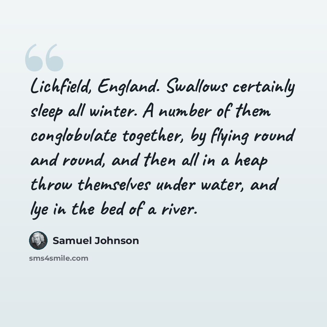 “Lichfield, England. Swallows certainly sleep all winter. A number of them conglobulate together, by flying round and round, and then all in a heap throw themselves under water, and lye in the bed of a river.” quote by Samuel Johnson