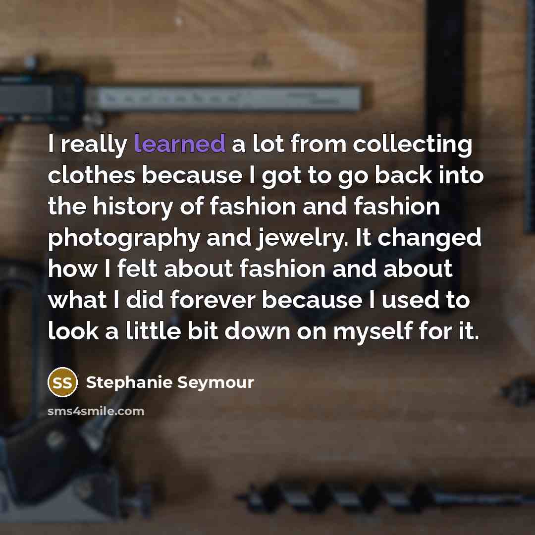“I really learned a lot from collecting clothes because I got to go back into the history of fashion and fashion photography and jewelry. It changed how I felt about fashion and about what I did forever because I used to look a little bit down on myself for it.” quote by Stephanie Seymour