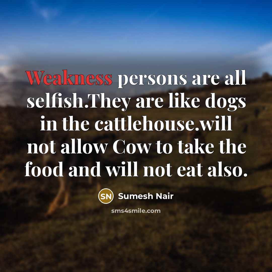 “Weakness persons are all selfish.They are like dogs in the cattlehouse.will not allow Cow to take the food and will not eat also.” quote by Sumesh Nair