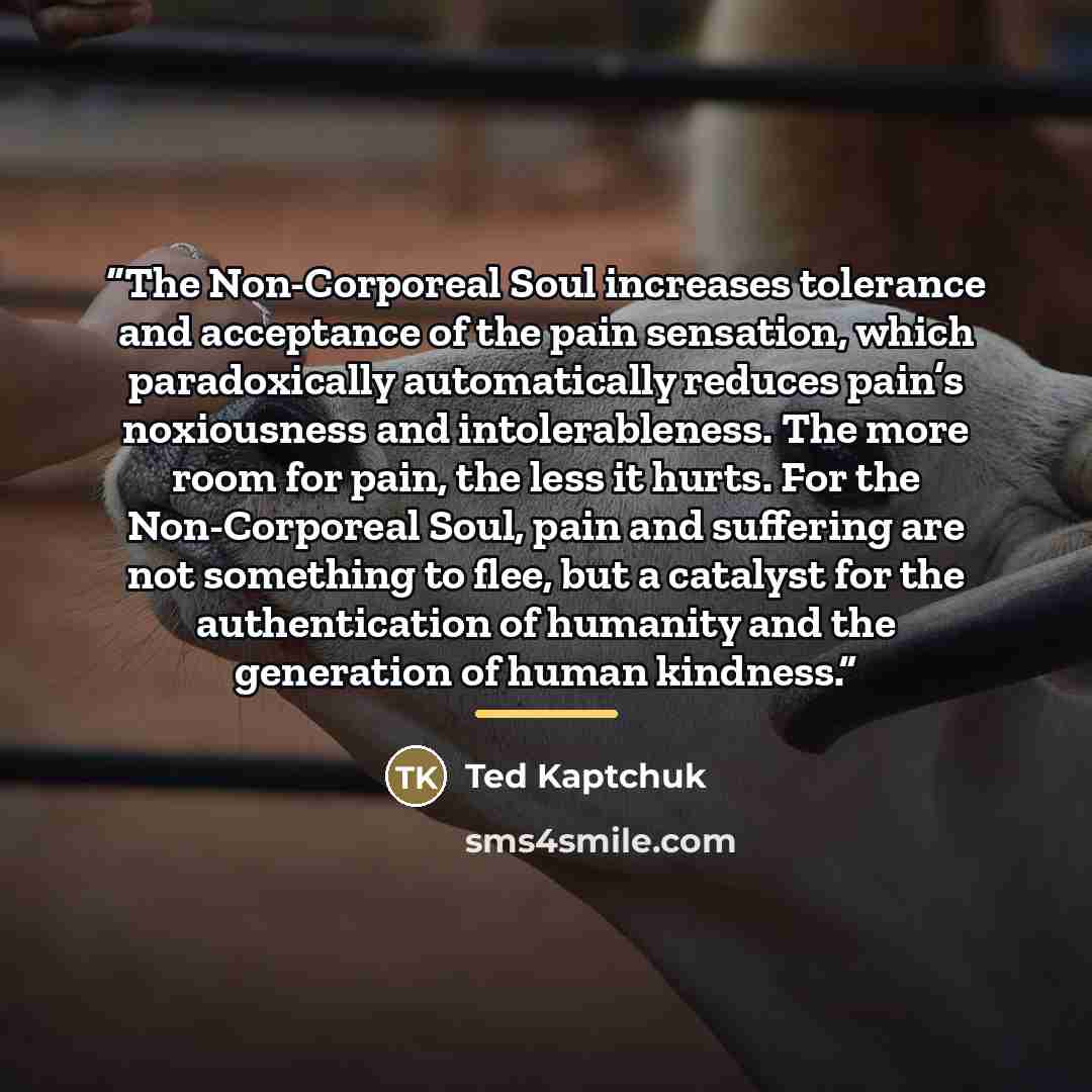 “The Non-Corporeal Soul increases tolerance and acceptance of the pain sensation, which paradoxically automatically reduces pain’s noxiousness and intolerableness. The more room for pain, the less it hurts. For the Non-Corporeal Soul, pain and suffering are not something to flee, but a catalyst for…” quote by Ted Kaptchuk