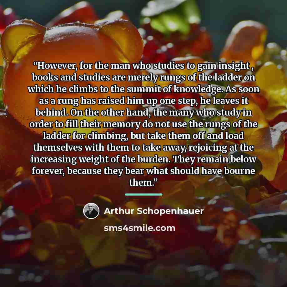 “However, for the man who studies to gain insight , books and studies are merely rungs of the ladder on which he climbs to the summit of knowledge. As soon as a rung has raised him up one step, he leaves it behind. On the other hand, the many who study in order to fill their memory do not use the…” quote by Arthur Schopenhauer