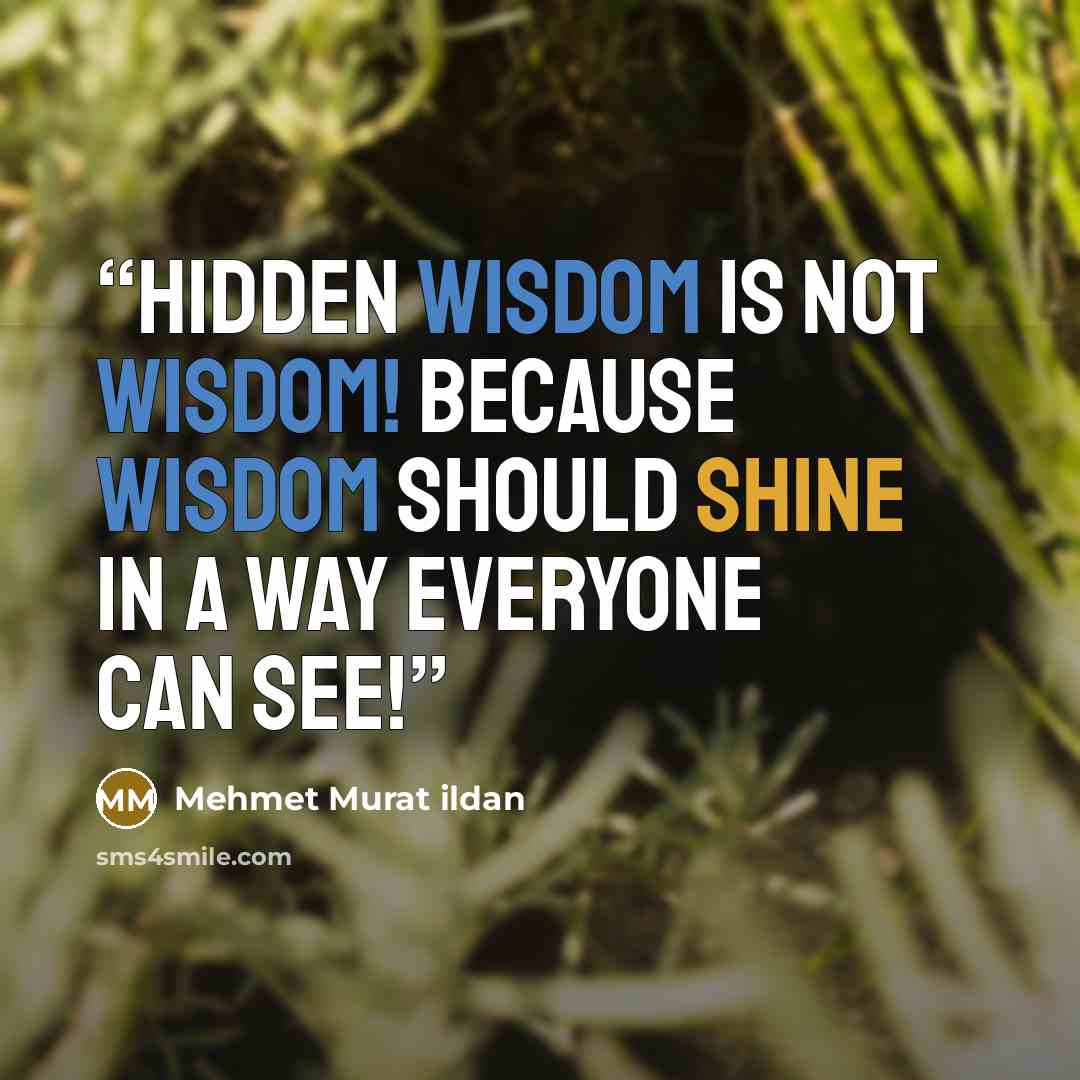 “Hidden wisdom is not wisdom! Because wisdom should shine in a way everyone can see!” quote by Mehmet Murat ildan