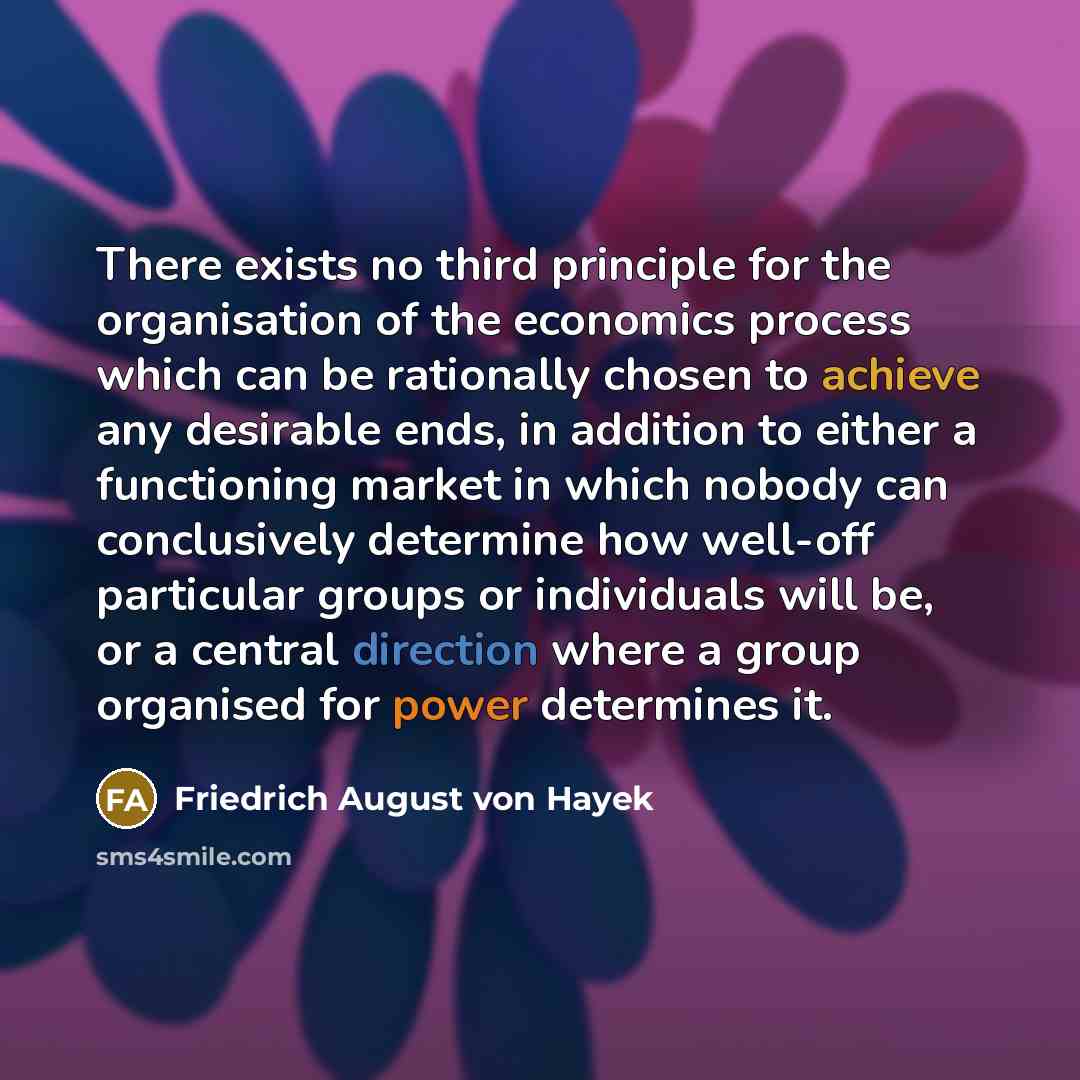 “There exists no third principle for the organisation of the economics process which can be rationally chosen to achieve any desirable ends, in addition to either a functioning market in which nobody can conclusively determine how well-off particular groups or individuals will be, or a central…” quote by Friedrich August von Hayek