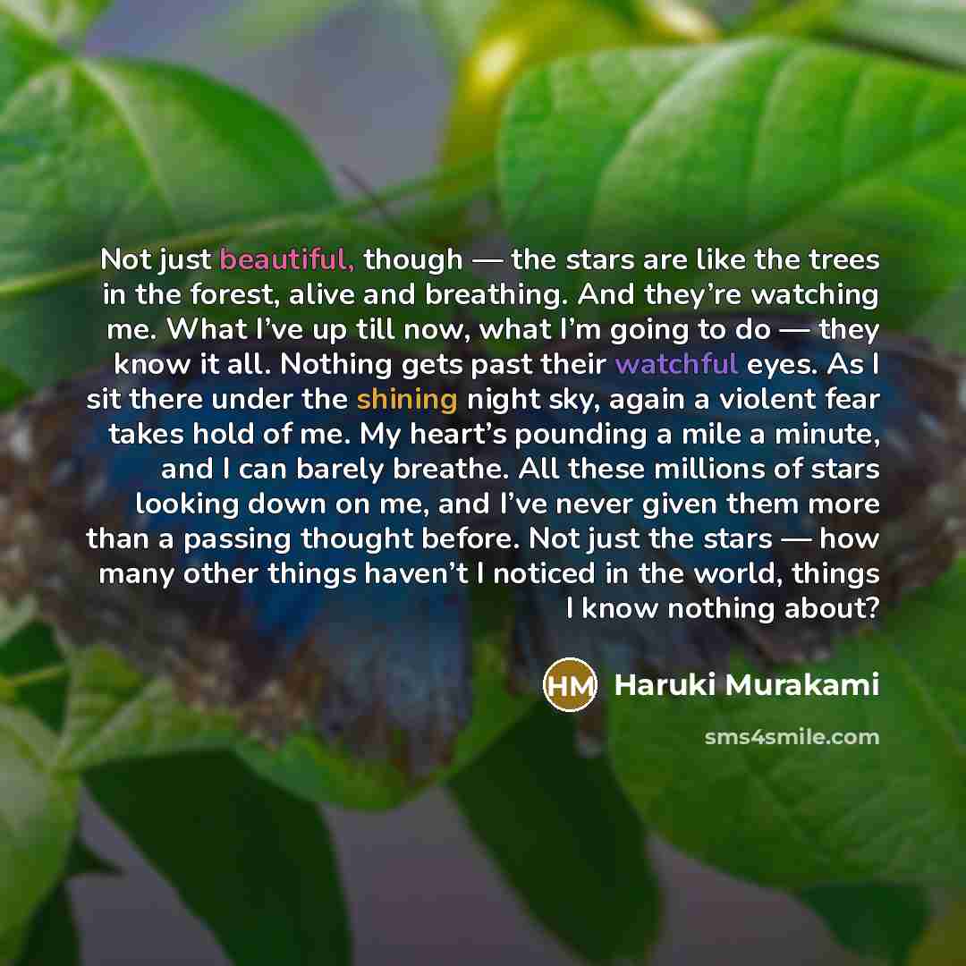 “Not just beautiful, though — the stars are like the trees in the forest, alive and breathing. And they’re watching me. What I’ve up till now, what I’m going to do — they know it all. Nothing gets past their watchful eyes. As I sit there under the shining night sky, again a violent fear takes hold…” quote by Haruki Murakami