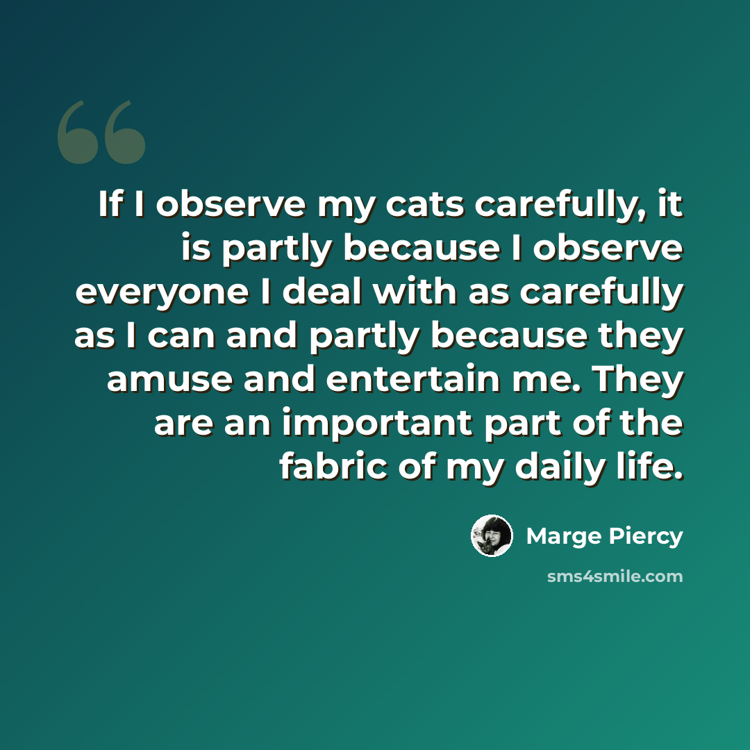 “If I observe my cats carefully, it is partly because I observe everyone I deal with as carefully as I can and partly because they amuse and entertain me. They are an important part of the fabric of my daily life.” quote by Marge Piercy