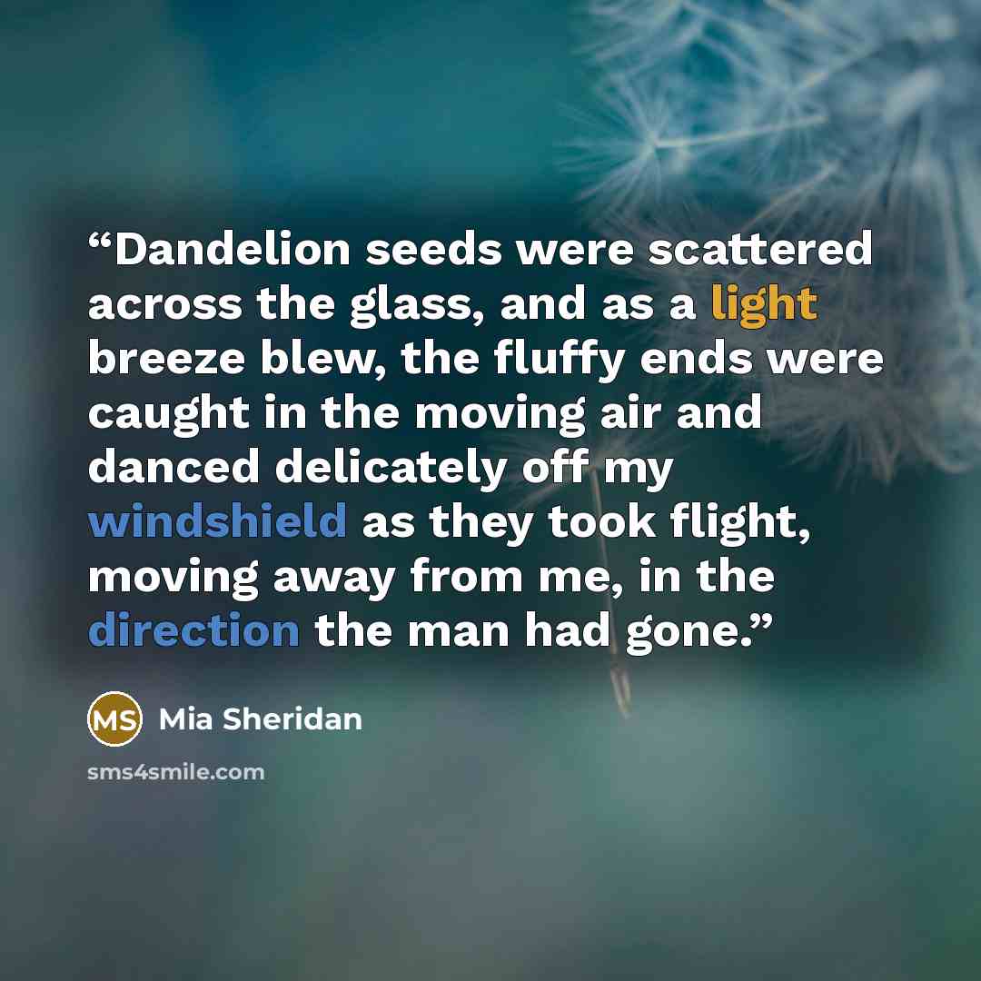 “Dandelion seeds were scattered across the glass, and as a light breeze blew, the fluffy ends were caught in the moving air and danced delicately off my windshield as they took flight, moving away from me, in the direction the man had gone.” quote by Mia Sheridan