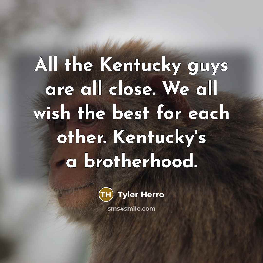 “All the Kentucky guys are all close. We all wish the best for each other. Kentucky's a brotherhood.” quote by Tyler Herro