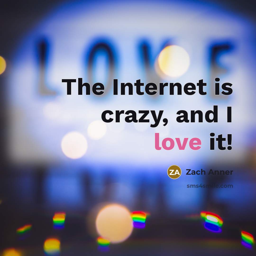 “The Internet is crazy, and I love it!” quote by Zach Anner