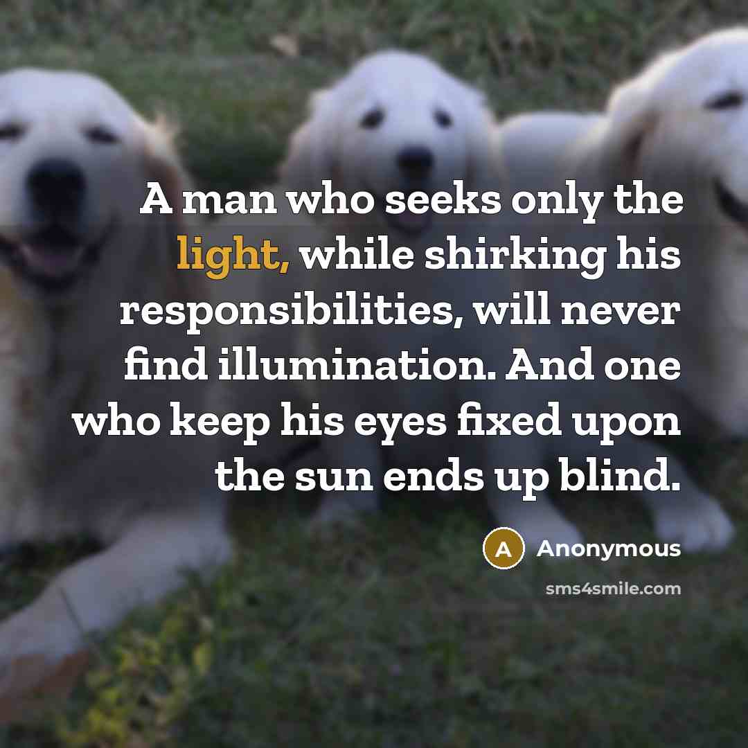 “A man who seeks only the light, while shirking his responsibilities, will never find illumination. And one who keep his eyes fixed upon the sun ends up blind.” quote by Anonymous