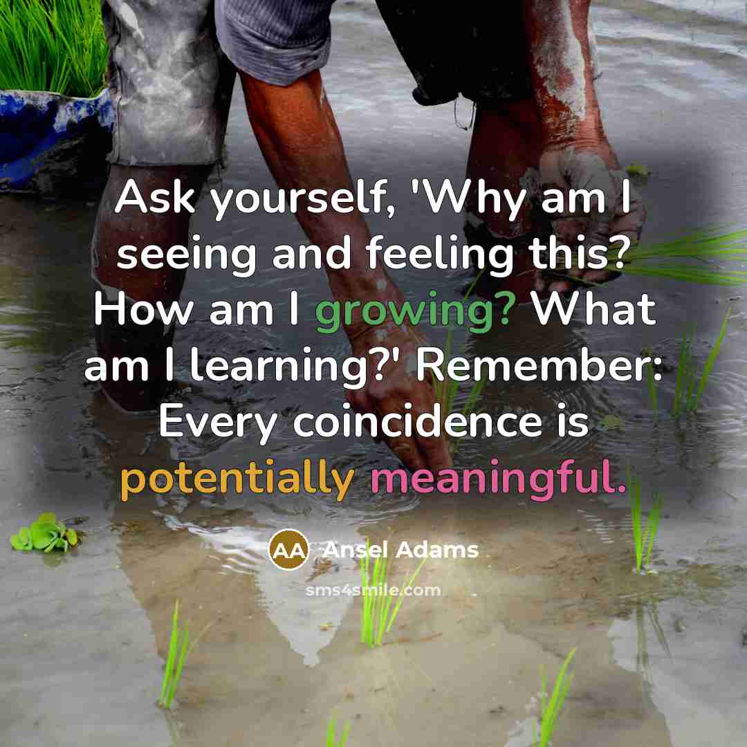 “Ask yourself, 'Why am I seeing and feeling this? How am I growing? What am I learning?' Remember: Every coincidence is potentially meaningful.” quote by Ansel Adams