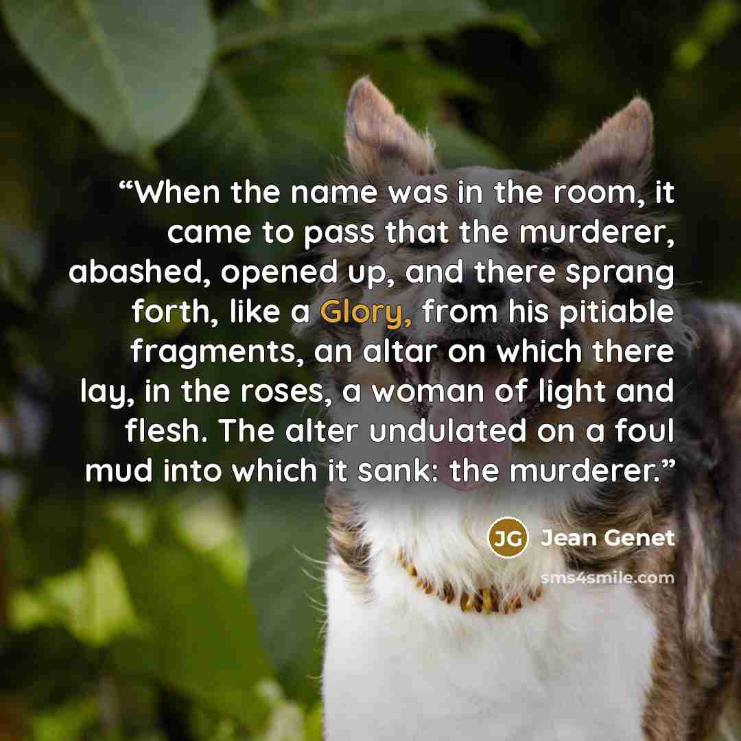 “When the name was in the room, it came to pass that the murderer, abashed, opened up, and there sprang forth, like a Glory, from his pitiable fragments, an altar on which there lay, in the roses, a woman of light and flesh. The alter undulated on a foul mud into which it sank: the murderer.” quote by Jean Genet