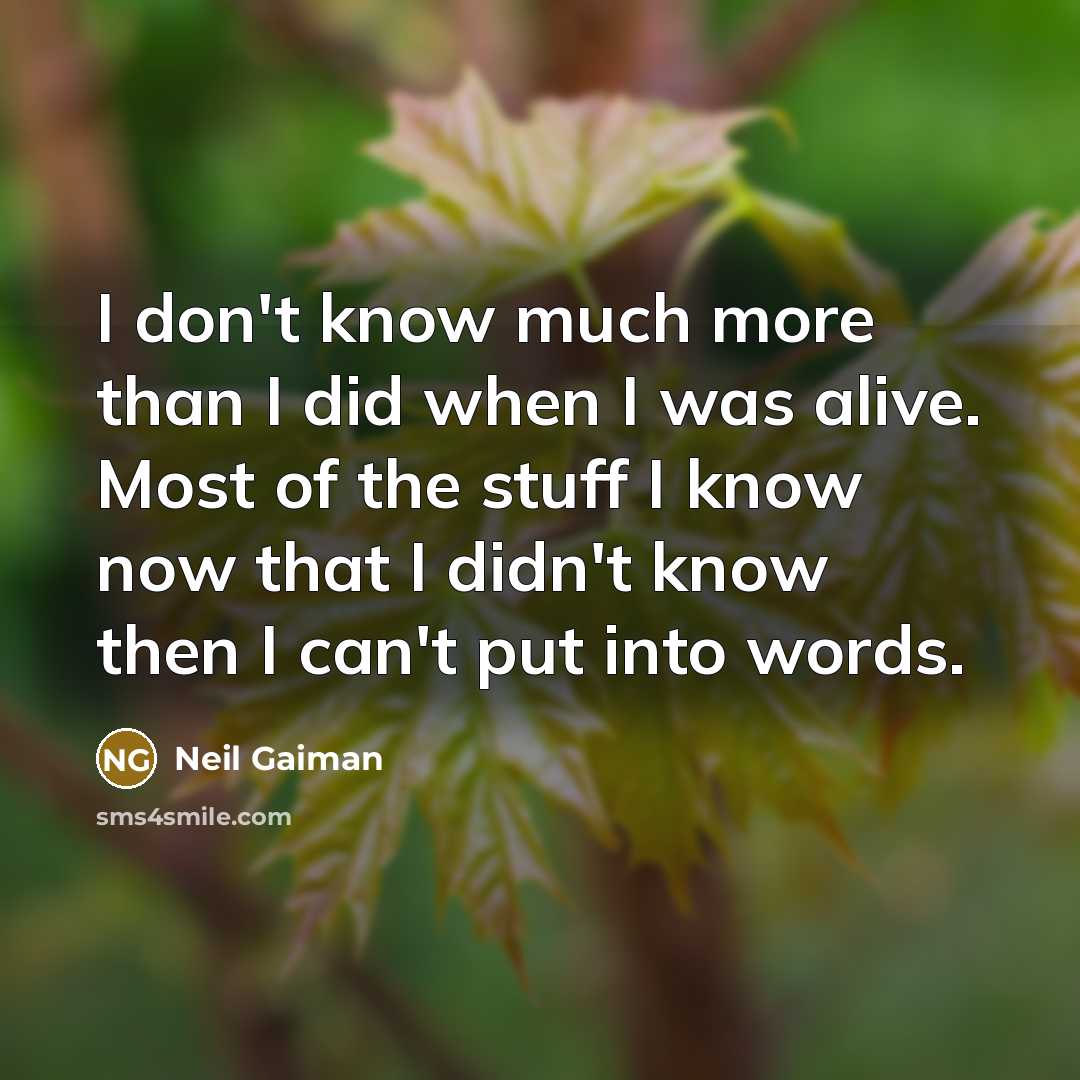 “I don't know much more than I did when I was alive. Most of the stuff I know now that I didn't know then I can't put into words.” quote by Neil Gaiman