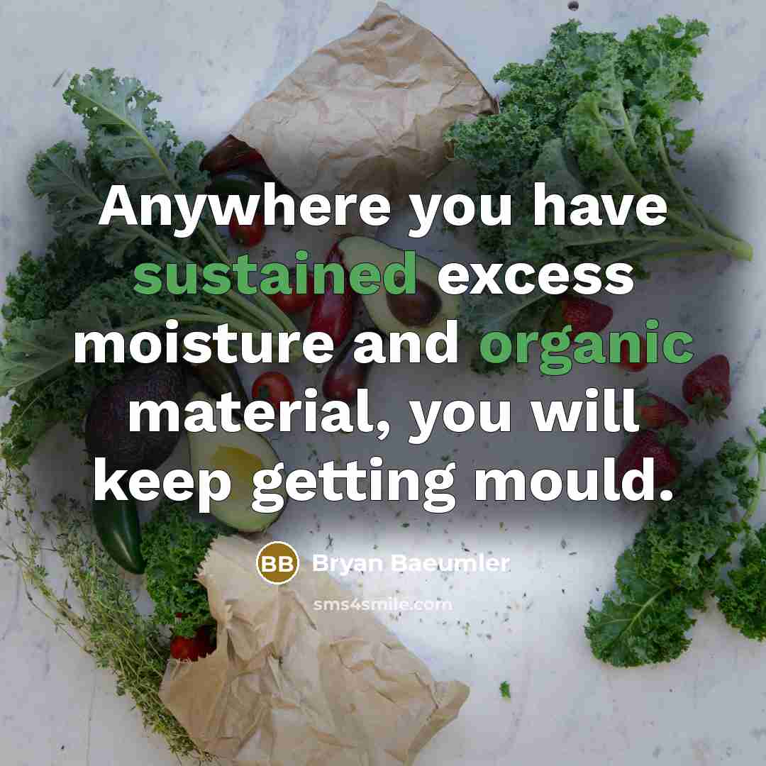 “Anywhere you have sustained excess moisture and organic material, you will keep getting mould.” quote by Bryan Baeumler
