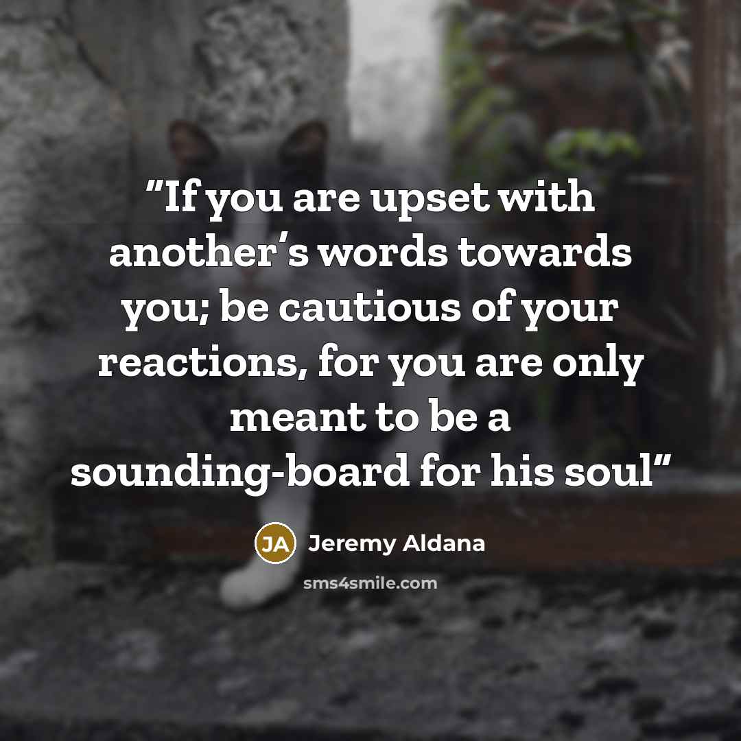 “If you are upset with another’s words towards you; be cautious of your reactions, for you are only meant to be a sounding-board for his soul” quote by Jeremy Aldana
