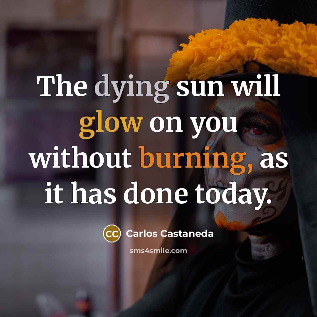 “The dying sun will glow on you without burning, as it has done today.” quote by Carlos Castaneda