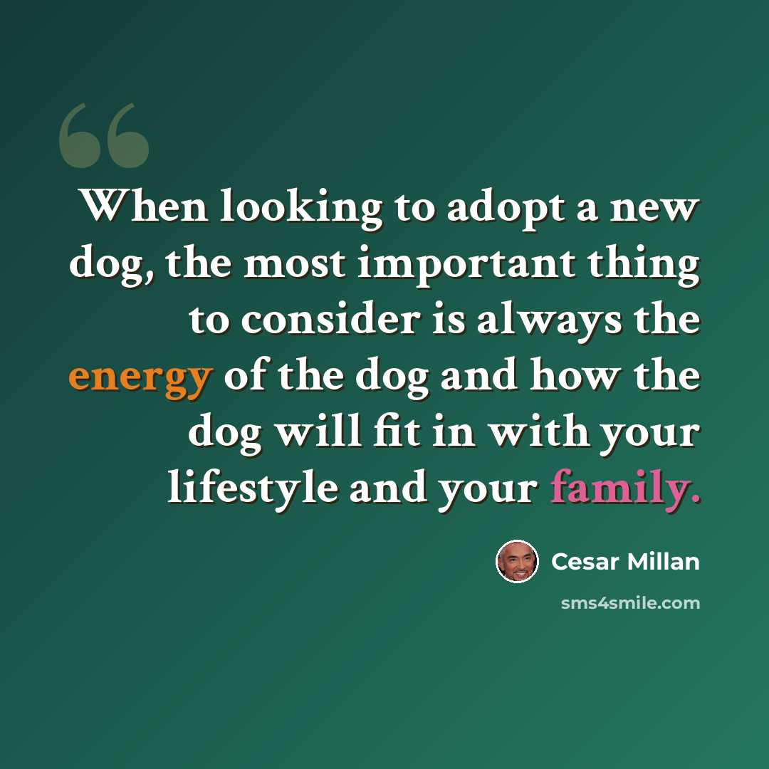 “When looking to adopt a new dog, the most important thing to consider is always the energy of the dog and how the dog will fit in with your lifestyle and your family.” quote by Cesar Millan