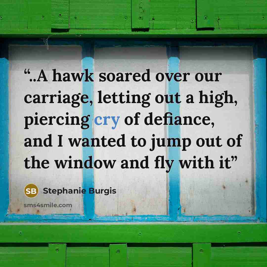 “..A hawk soared over our carriage, letting out a high, piercing cry of defiance, and I wanted to jump out of the window and fly with it” quote by Stephanie Burgis