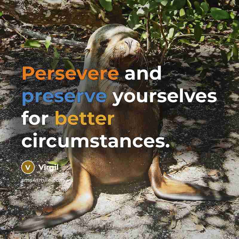 “Persevere and preserve yourselves for better circumstances.” quote by Virgil