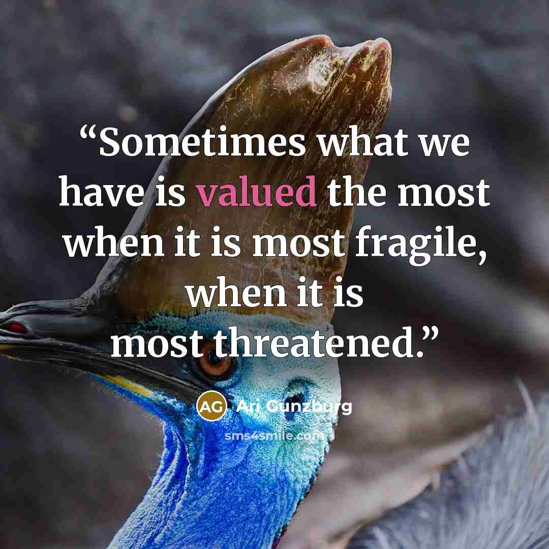“Sometimes what we have is valued the most when it is most fragile, when it is most threatened.” quote by Ari Gunzburg