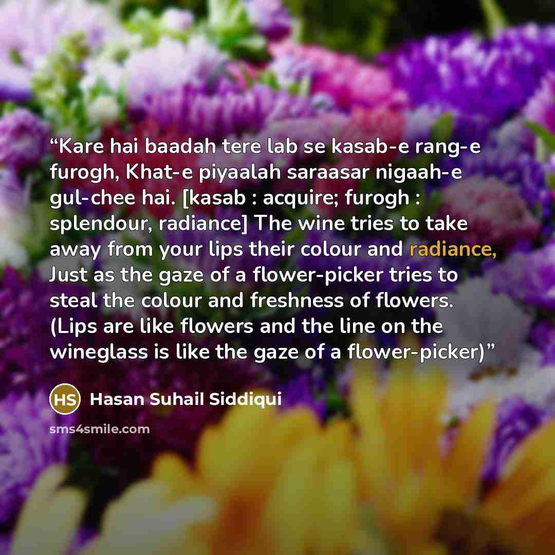 “Kare hai baadah tere lab se kasab-e rang-e furogh, Khat-e piyaalah saraasar nigaah-e gul-chee hai. [kasab : acquire; furogh : splendour, radiance] The wine tries to take away from your lips their colour and radiance, Just as the gaze of a flower-picker tries to steal the colour and freshness of…” quote by Hasan Suhail Siddiqui